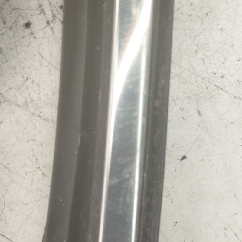 Hyundai Santa Fe Door Glass Window Seal Rubber Left Driver Front  2019