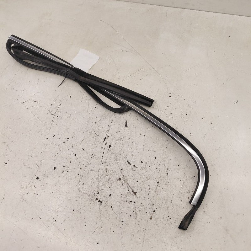 Volvo S60 Door Glass Window Seal Rubber Left Driver Rear Back  2013 20