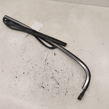 Volvo S60 Door Glass Window Seal Rubber Left Driver Rear Back  2013 20