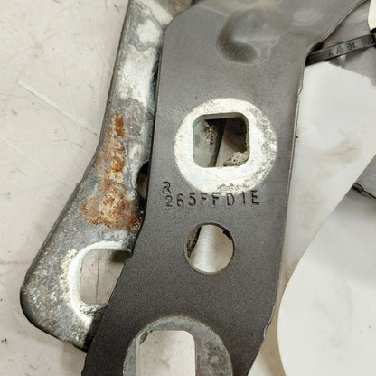 Ford Escape Hood Hinge Set Left and Right  2022 2023 2024