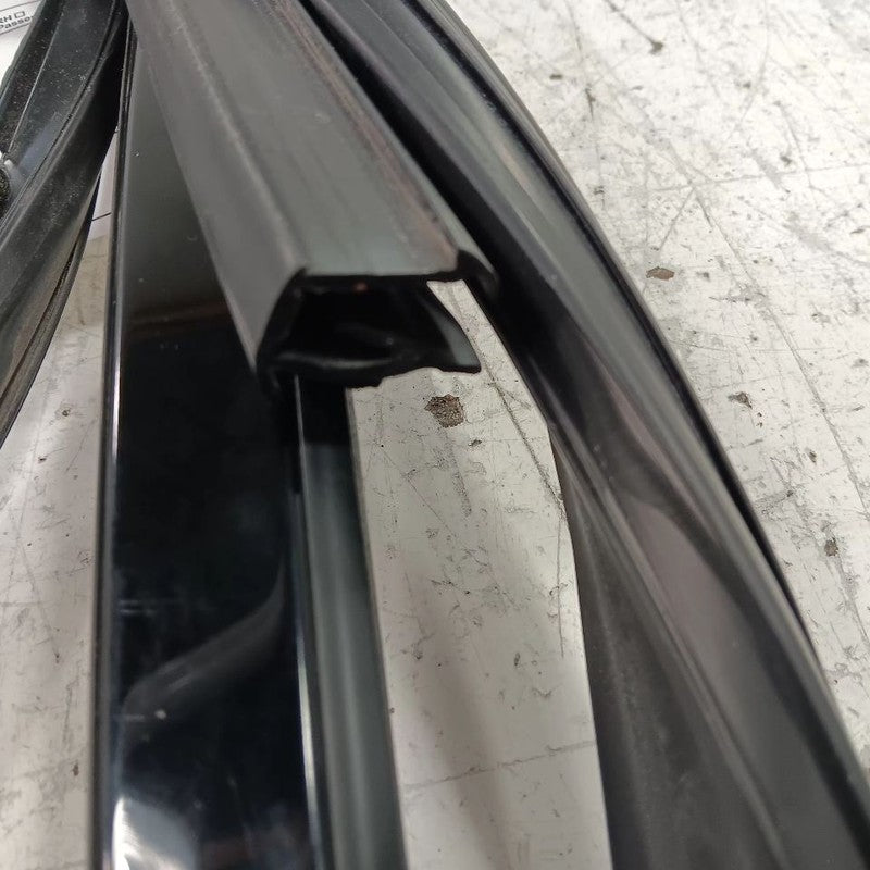 Ford Taurus Door Glass Window Seal Rubber Left Rear Back  2019 2018 20