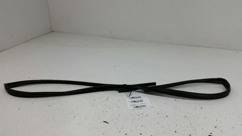 Honda Civic Door Glass Window Seal Rubber Gasket Left Driver Front OEM 2010 2011