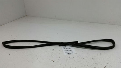 Honda Civic Door Glass Window Seal Rubber Gasket Left Driver Front OEM 2010 2011