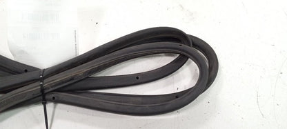 Volkswagen Rabbit On Door Seal Rubber Left Rear Back 2006 2007 2008 20