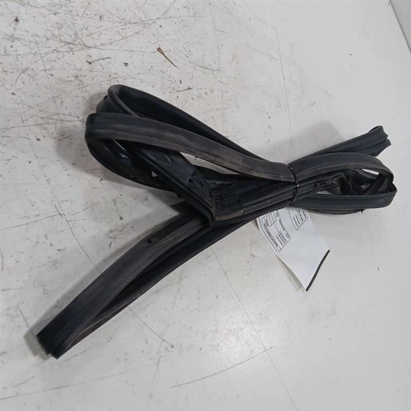 Nissan LEAF On Door Seal Rubber Right Passenger Rear Back  2013 2014 2015 2016 2