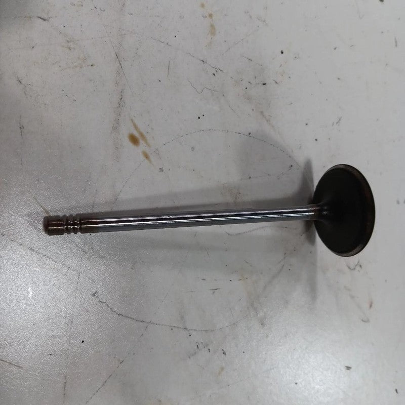 Jeep Compass 2.4 Cylinder Head Intake Valve 2017 2018 2019 2020 2021 2
