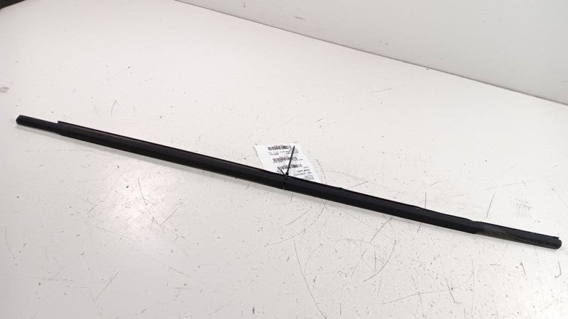 Volkswagen Golf Door Glass Window Weather Strip Trim Front Left Driver