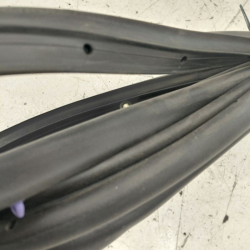Chevy Volt On Door Seal Rubber Right Passenger Rear Back  2019 2018 20