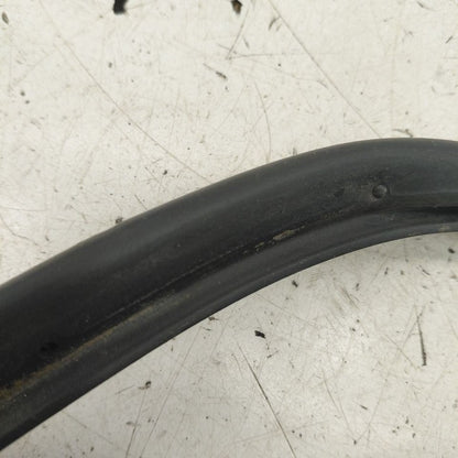 Hyundai Veloster On Door Seal Rubber Right Passenger Front  2017 2016 