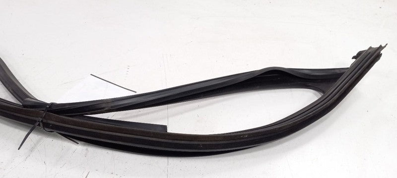Kia Sorento Door Glass Window Seal Rubber Right Passenger Front 2016 2