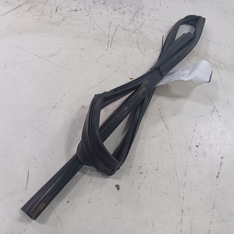 INFINITI QX50 Door Glass Window Seal Rubber Right Passenger Rear Back 