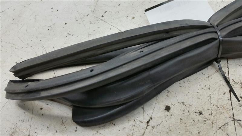 Dodge Avenger On Door Seal Rubber Gasket Right Passenger Rear Back 2009 2010