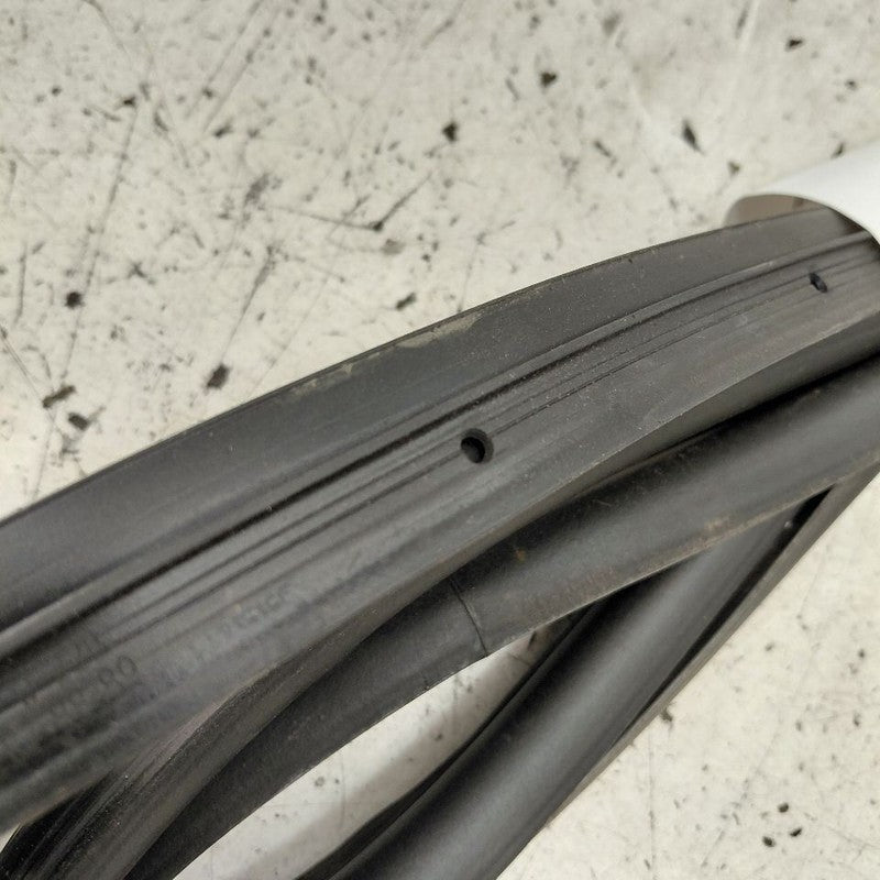 Cadillac CT6 On Door Seal Rubber Left Driver Front  2018 2017 2016