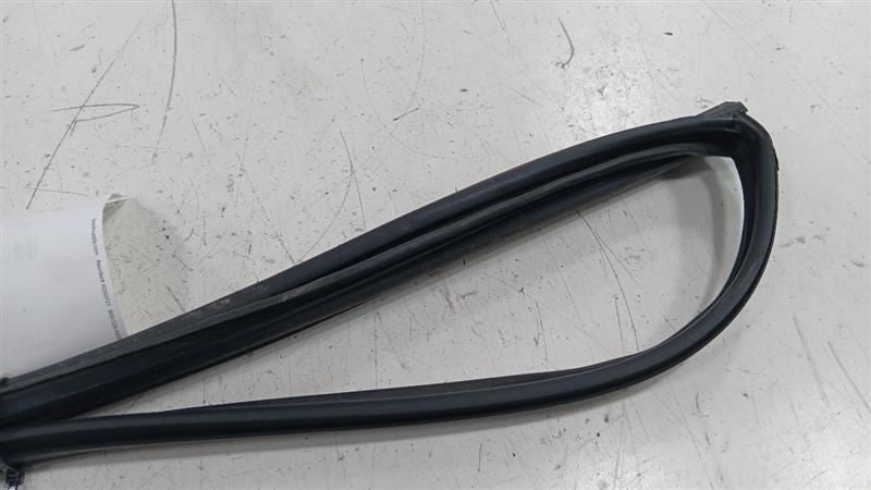 Honda Civic Door Glass Window Seal Rubber Right Passenger Front 2013 2014 2015