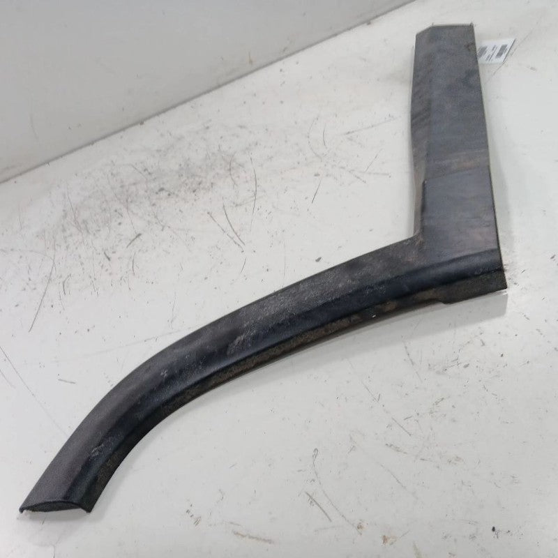 Jeep Compass Door Molding Trim Strip Right Passenger Side Rear Back  2