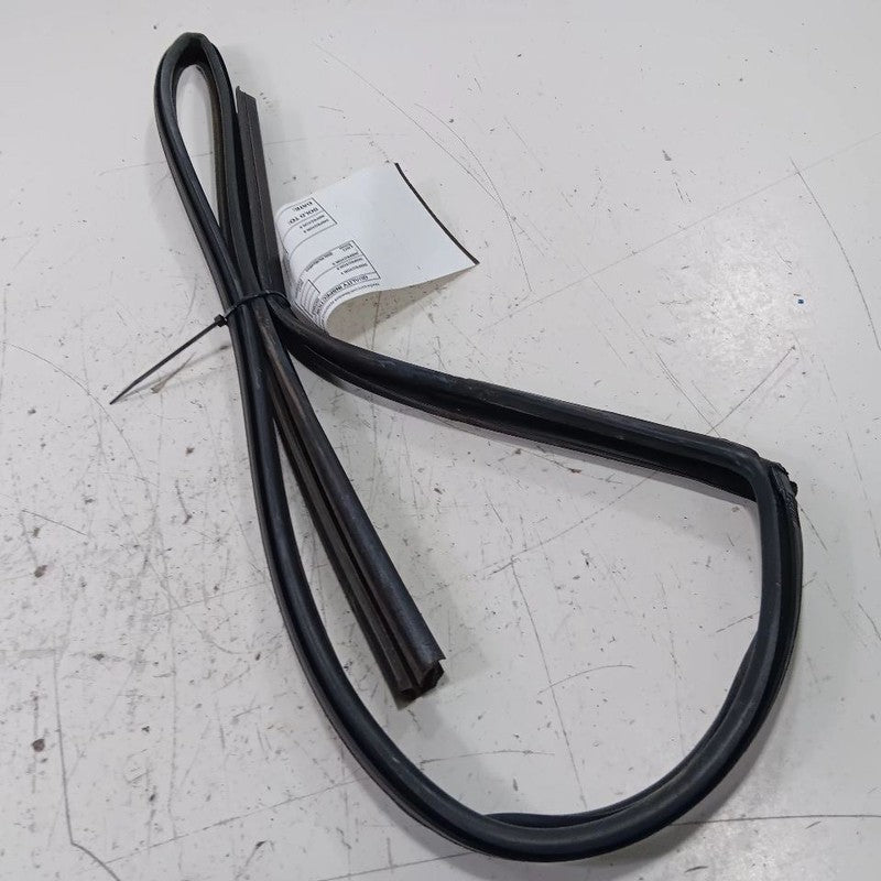 Hyundai Accent Door Glass Window Seal Rubber Right Passenger Front 201