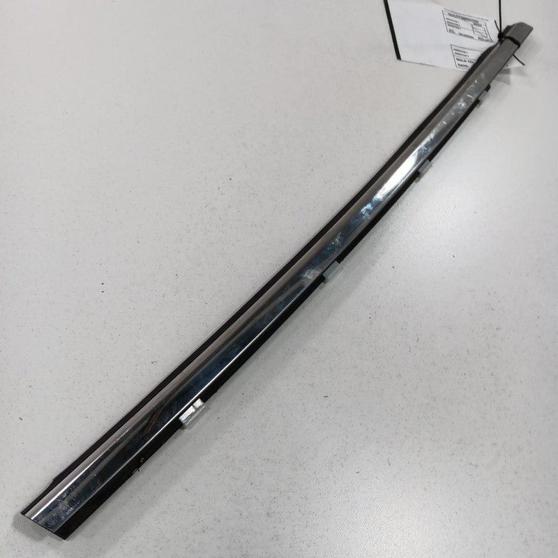 Buick Encore Door Glass Window Weather Strip Trim Rear Right Passenger