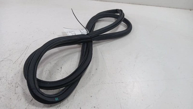 Buick Encore On Body Door Jamb Seal Rear Left Back  2016 2017 2018 201
