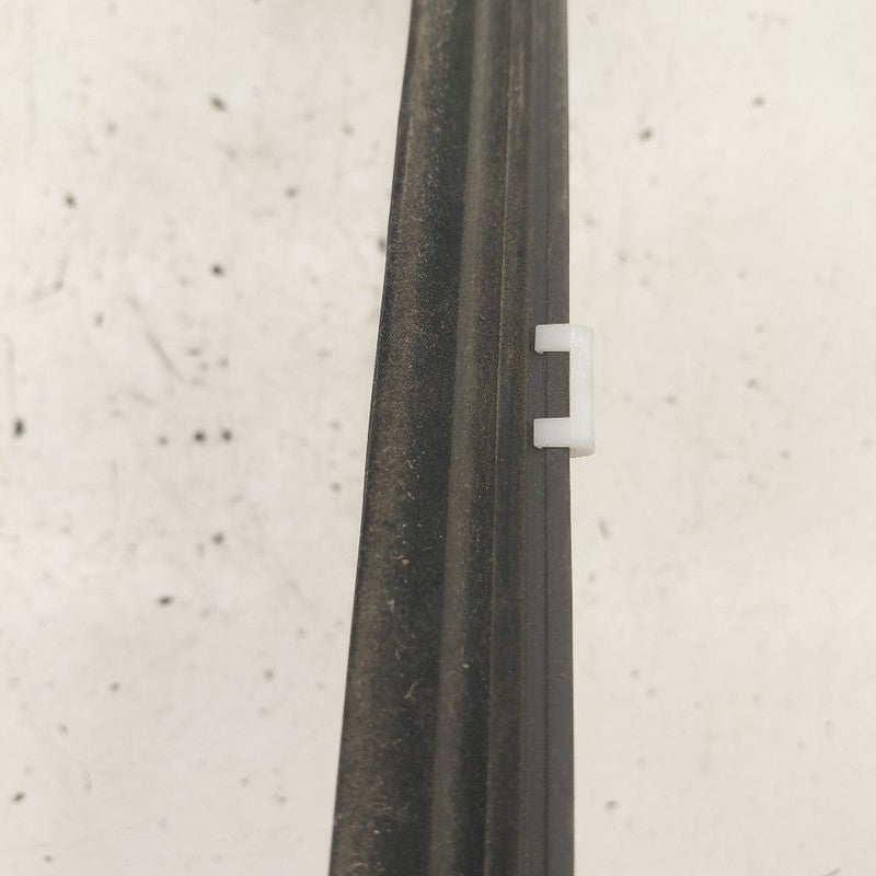 Hyundai Kona Door Glass Window Weather Strip Trim Front Right Passenge