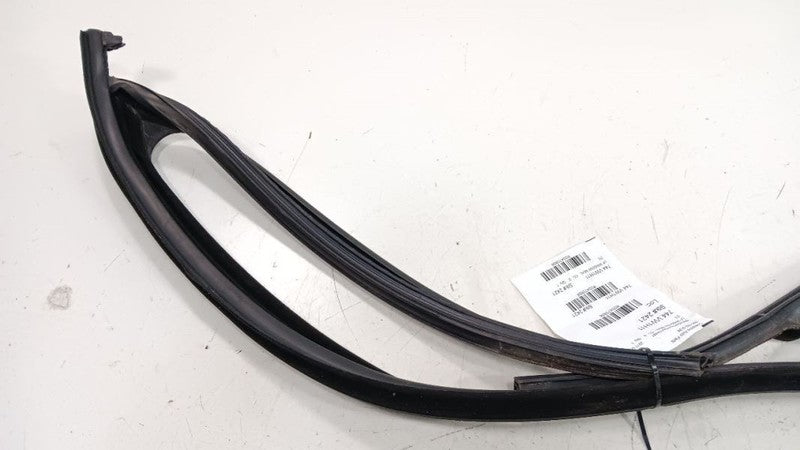 Volkswagen Golf Door Glass Window Seal Rubber Left Driver Front 2010 2