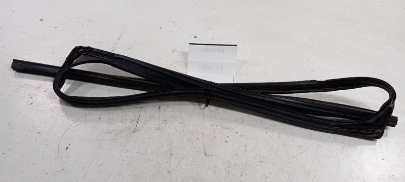 Acura MDX Door Glass Window Seal Rubber Left Rear Back 2010 2011 2012 