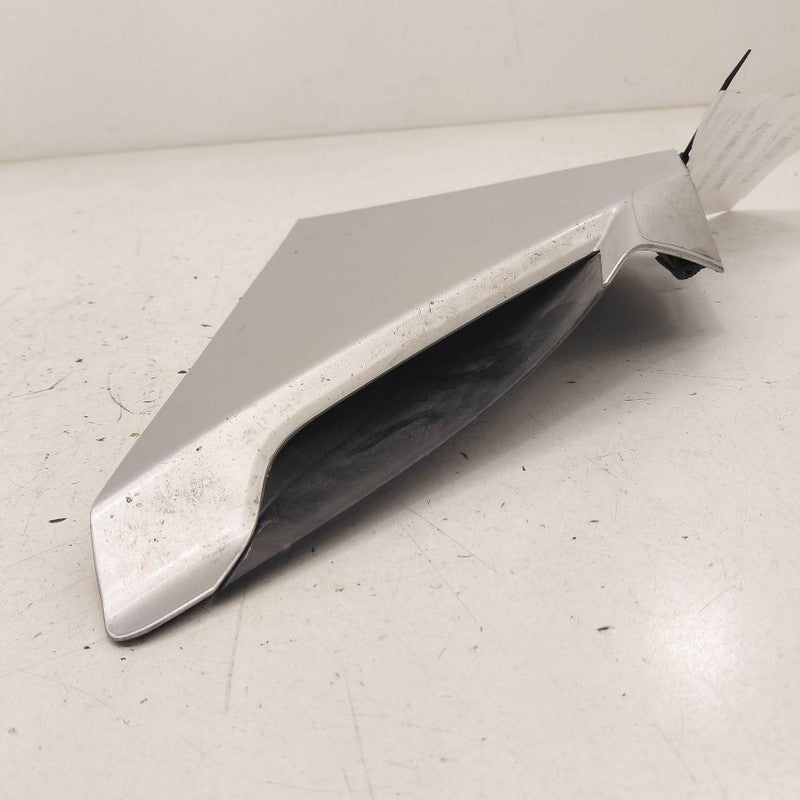 Honda Clarity Door Molding Trim Strip Left Driver Side Rear Back  2018