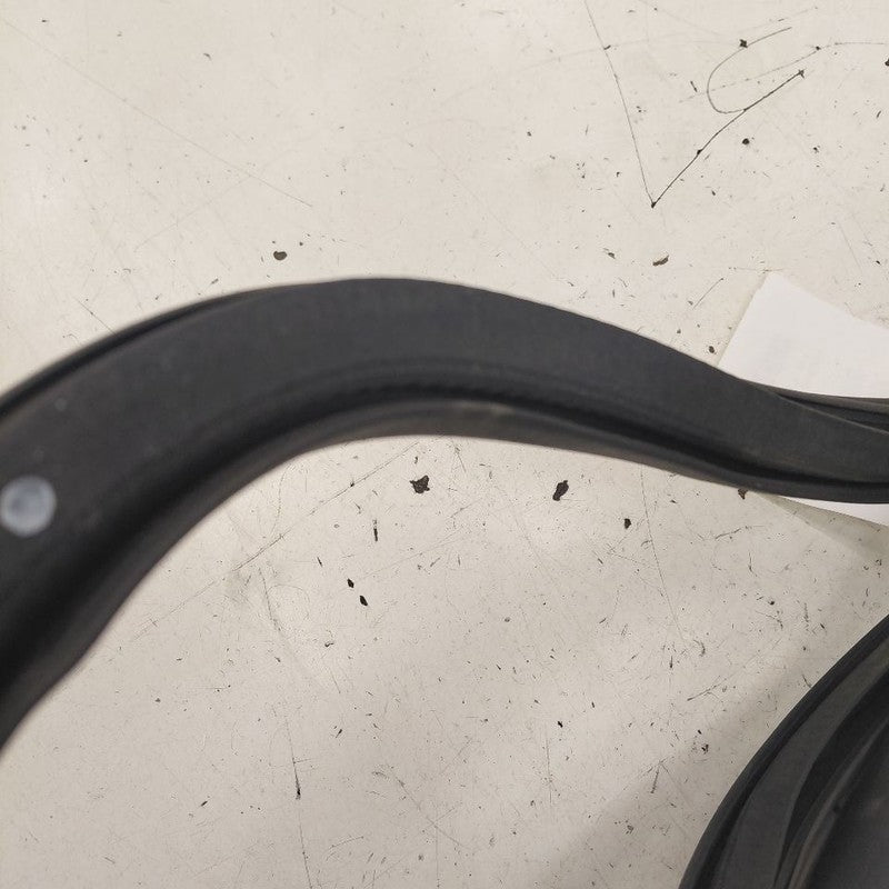 Ford Escape On Body Door Jamb Seal Front Right Passenger  2020 2021 20
