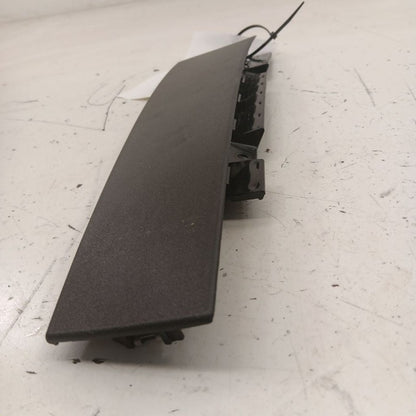 Chevy Volt Passenger Right Rear Door Applique {23323966} 2019 2018 201
