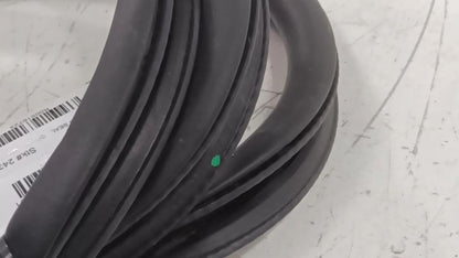 Dodge Dart On Body Door Jamb Seal Rear Left Back  2013 2014 2015 2016