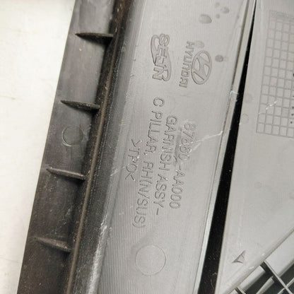 Hyundai Elantra Passenger Right Rear C-Pillar Applique {87860AA000} 20