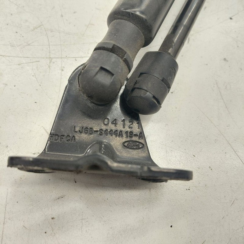 Ford Escape Hatchback Hatch Back Trunk Lid Shock Strut Support  2020 2