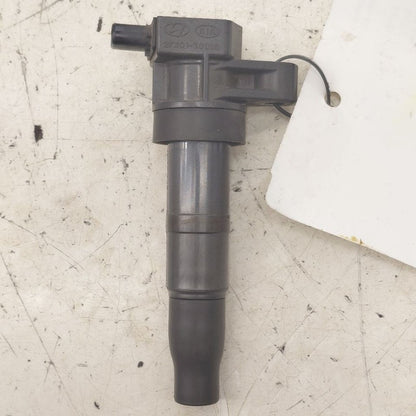 Coil Ignition Ignitor Fits 07-19 Hyundai Santa Fe