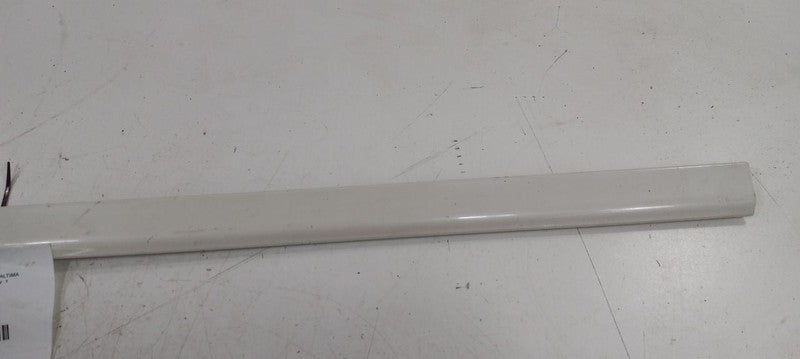 Nissan Altima Door Molding Trim Strip Right Front Passenger Side 2010 