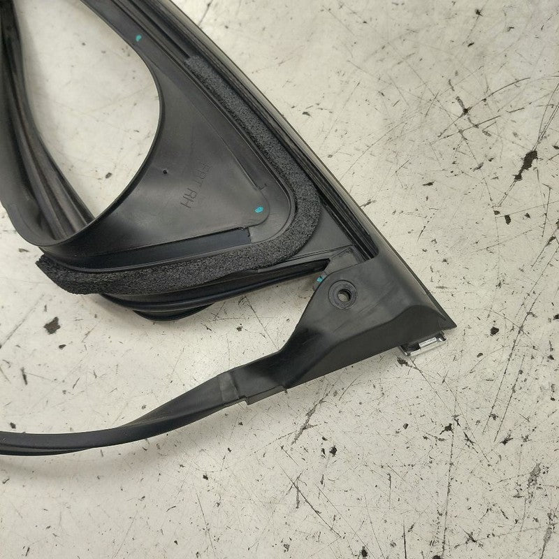 Cadillac CT6 Door Glass Window Seal Rubber Right Passenger Front  2018