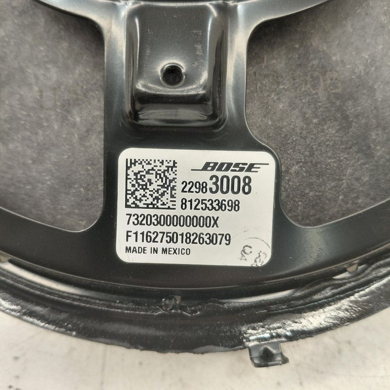 Cadillac CT6 Subwoofer Sub Woofer Speaker  2018 2017 2016