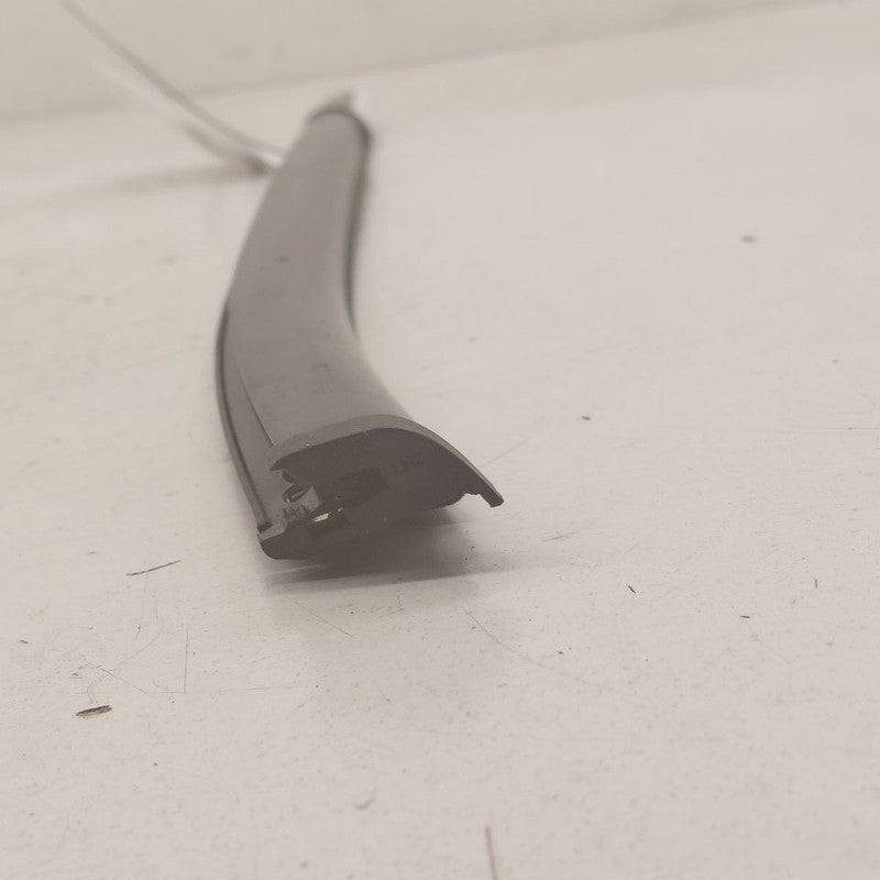 Buick Encore GX Door Glass Window Weather Strip Trim Rear Left Driver 