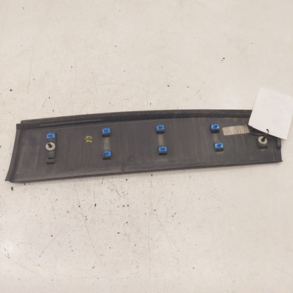 Jeep Cherokee Door Molding Trim Strip Right Passenger Side Rear Back  