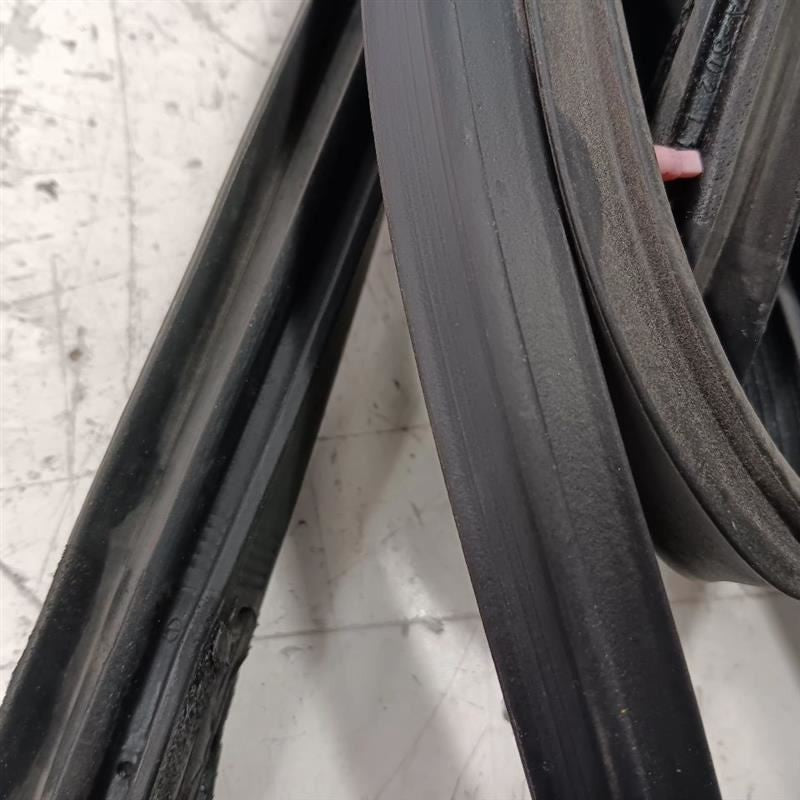 Toyota Rav 4 On Door Seal Rubber Left Rear Back  2015 2016 2017 2018