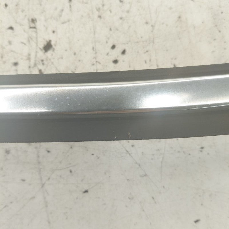 Volvo S60 Door Glass Window Seal Rubber Left Driver Front  2013 2014 2