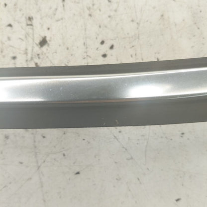 Volvo S60 Door Glass Window Seal Rubber Left Driver Front  2013 2014 2