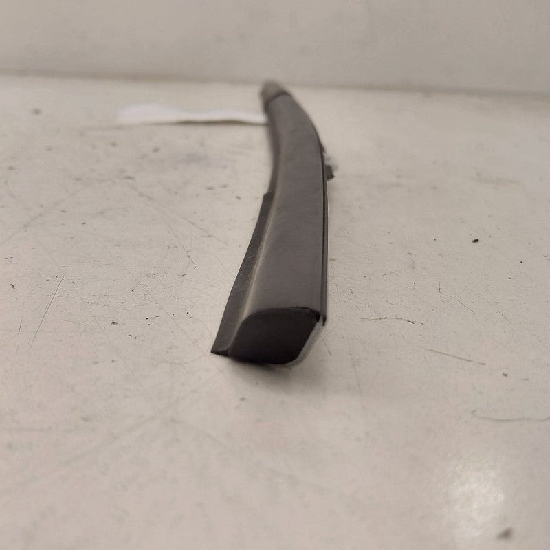 Hyundai Kona Door Glass Window Weather Strip Trim Rear Right Passenger