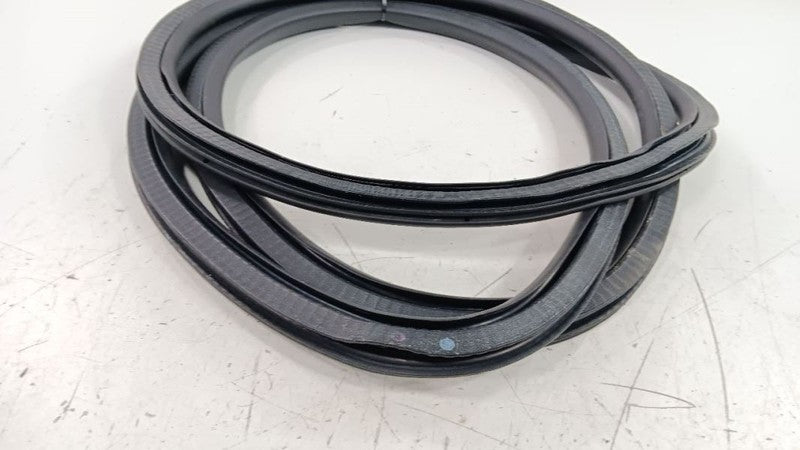 Chevrolet Equinox On Body Door Jamb Seal Rear Right Passenger Back 2018 2019