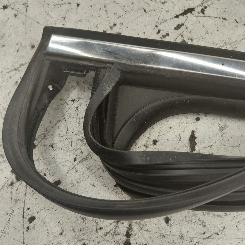 Hyundai Santa Fe Door Glass Window Seal Rubber Left Driver Rear Back  