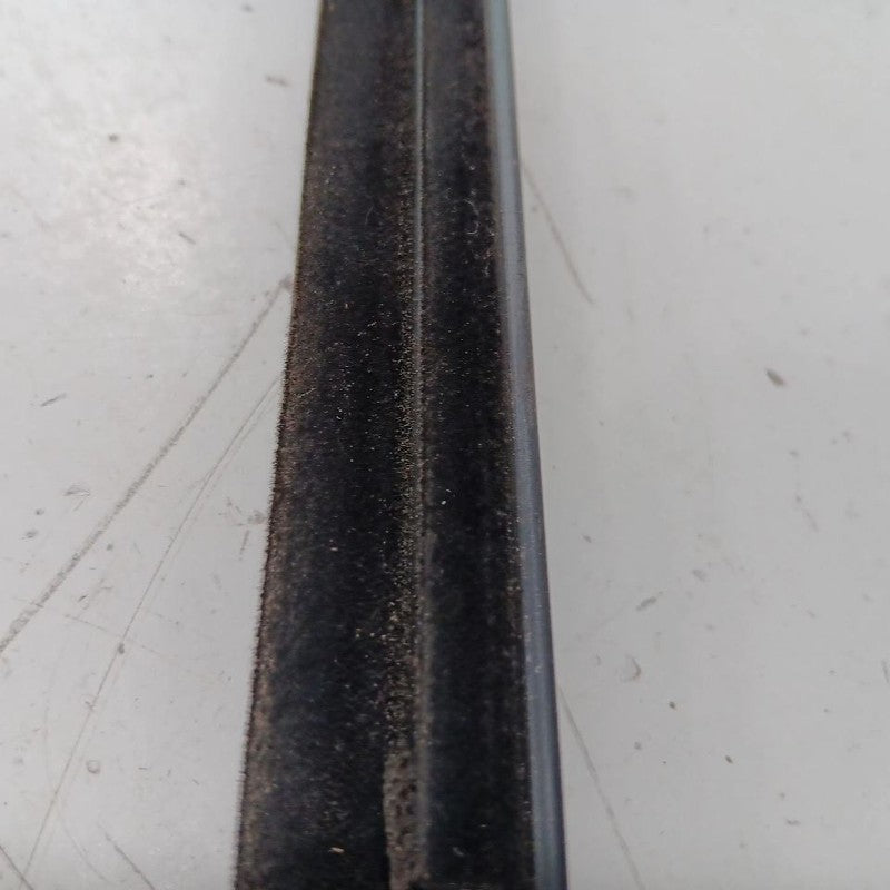 Nissan Kicks Door Glass Window Weather Strip Trim Rear Right Passenger Side Back