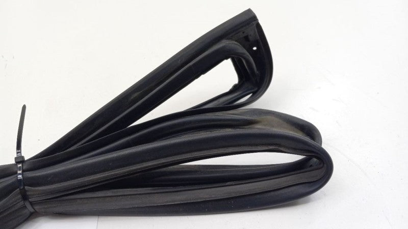 Hyundai Elantra On Door Seal Rubber Left Rear Back 2009 2010 2011 2012