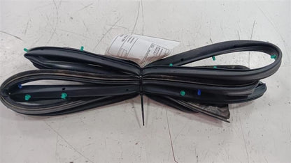 Mazda CX-3 On Door Seal Rubber Right Passenger Front  2019 2020 2021 2