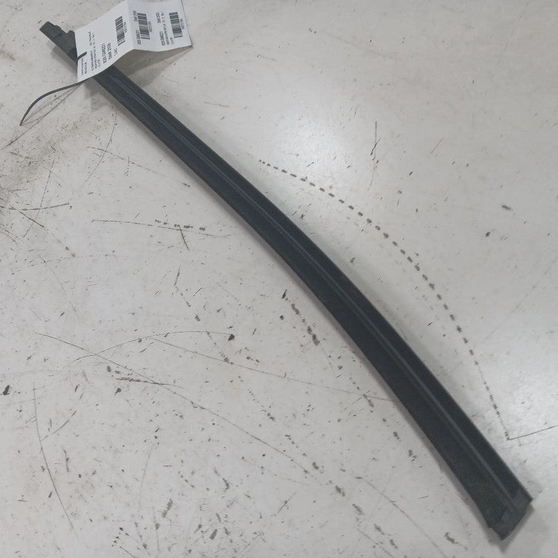 Chevy Trailblazer Door Glass Weather Strip Trim Rear Left Driver Back 