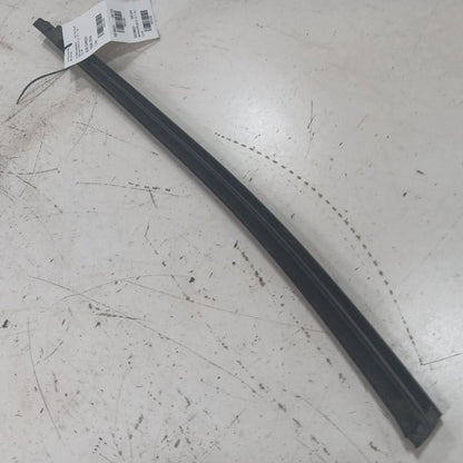 Chevy Trailblazer Door Glass Weather Strip Trim Rear Left Driver Back 