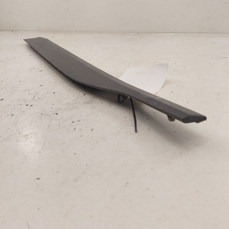 Hyundai Kona Door Molding Trim Strip Left Driver Front  2021 2020 2019