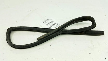  2009 Ford Focus Door Glass Window Seal Rubber Gasket Left Driver Rear Back 2010
